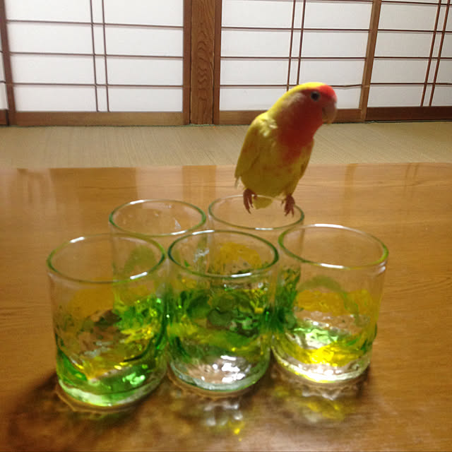 aoinokimiさんの実例写真