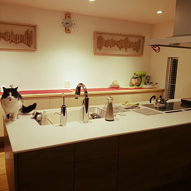 キッチンのインテリア実例 - 2015-01-29 21:42:45
