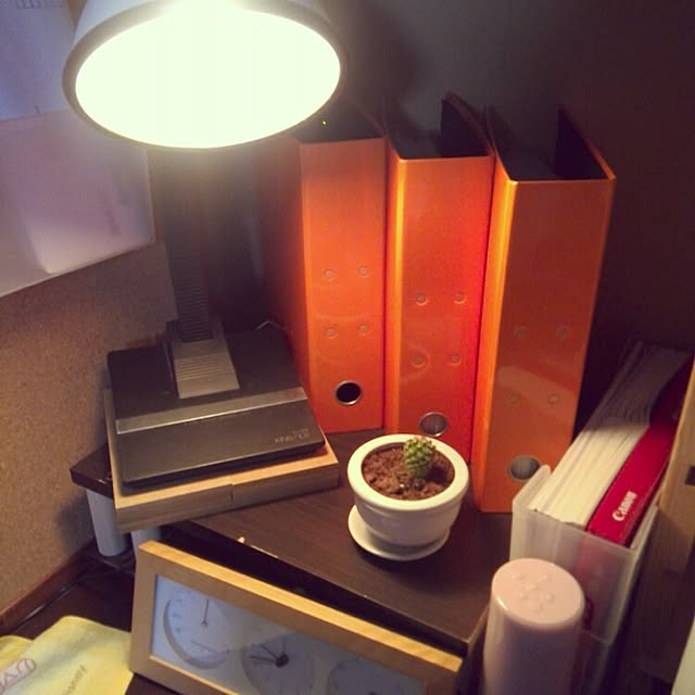 実例写真
