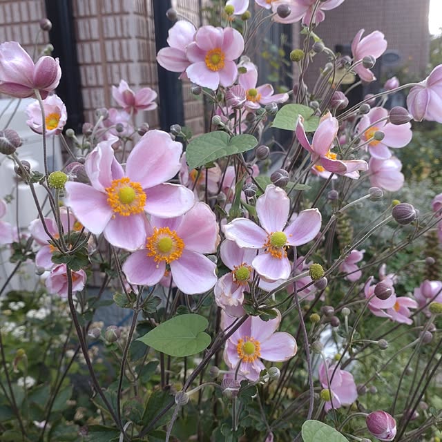 Hujikoさんの部屋