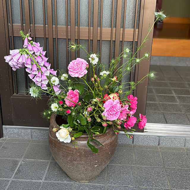 Dojieさんの実例写真
