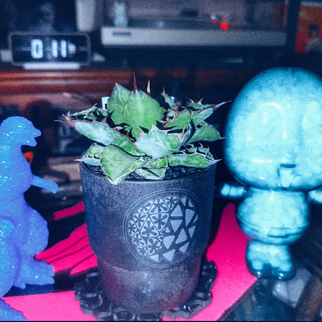 floydさんの部屋