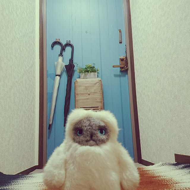 rokudenashiさんの実例写真