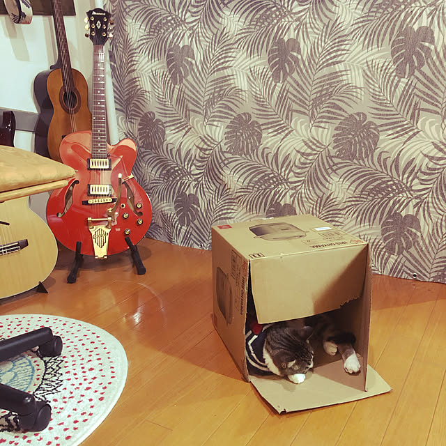 jijiさんの実例写真