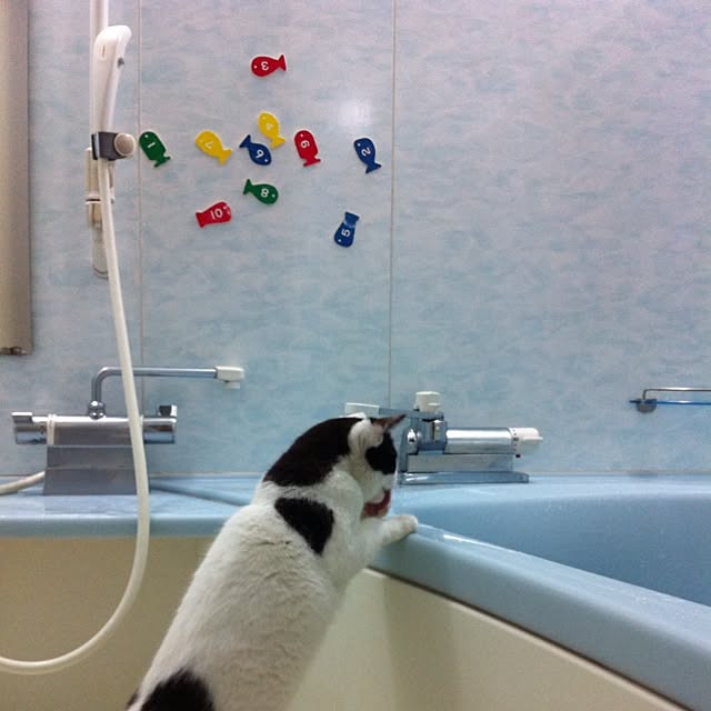 Lunaさんの実例写真