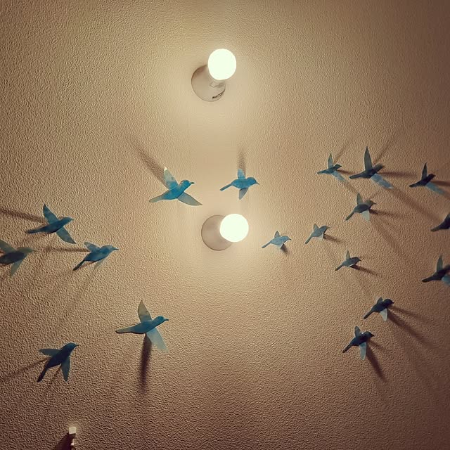 sakura_3さんの実例写真