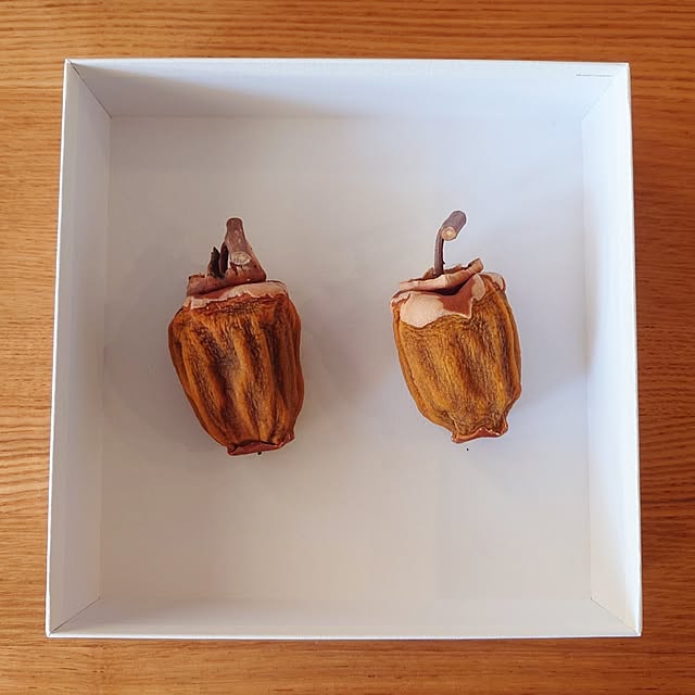 ToReTaRiさんの部屋