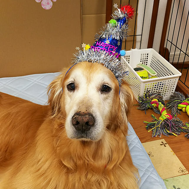 shelly-1227さんの実例写真
