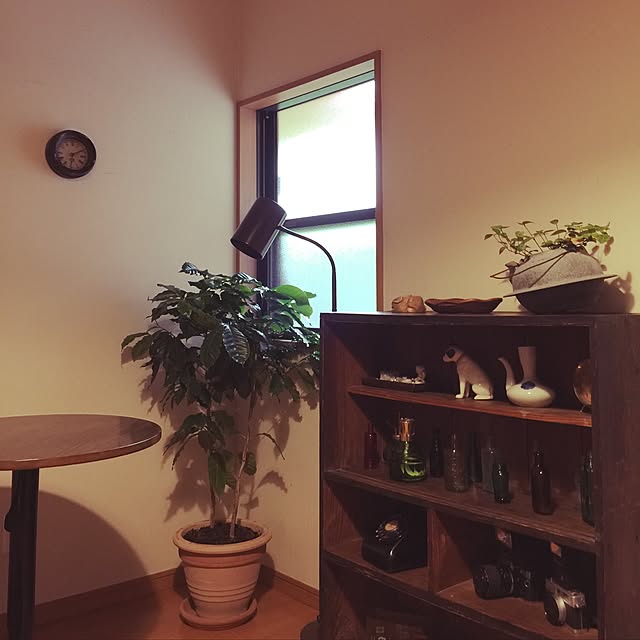 mikan161さんの実例写真