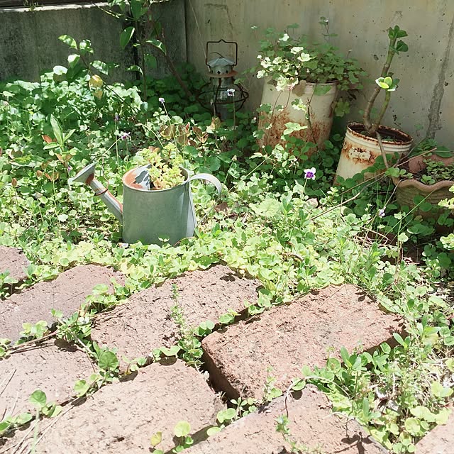 nakoyanさんの実例写真