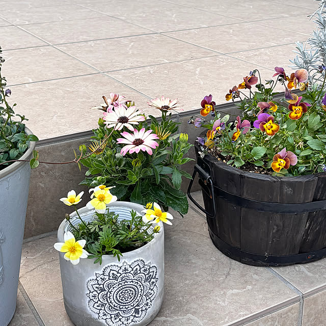 miyu39さんの部屋