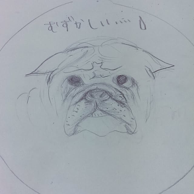 tibiさんの実例写真