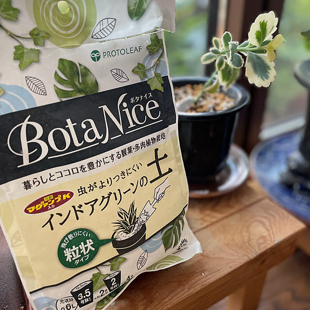 buchiさんの実例写真