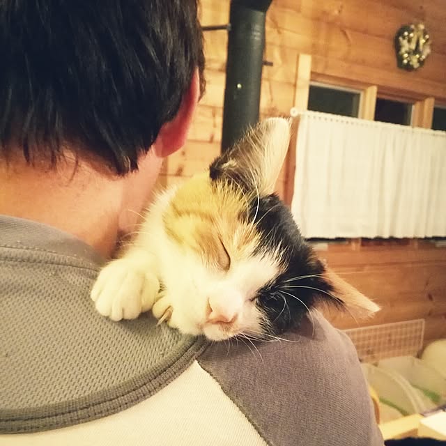 Maki-nekomamireさんの実例写真