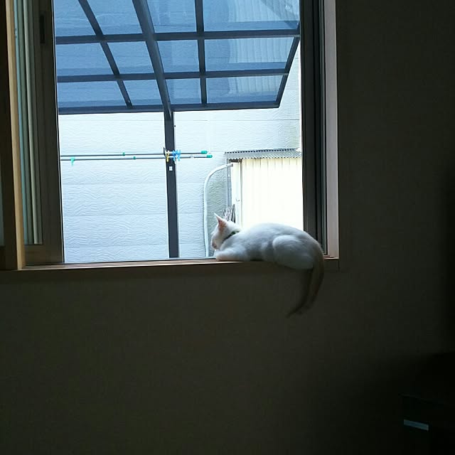 nikoさんの実例写真
