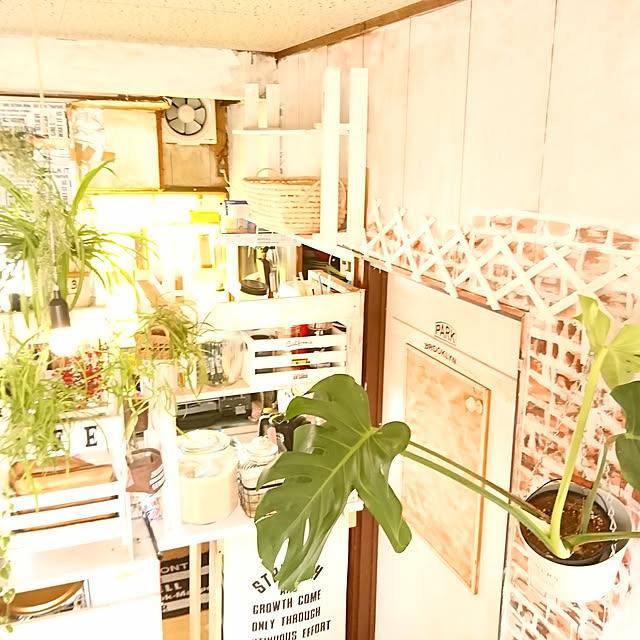 0103_eriさんの実例写真