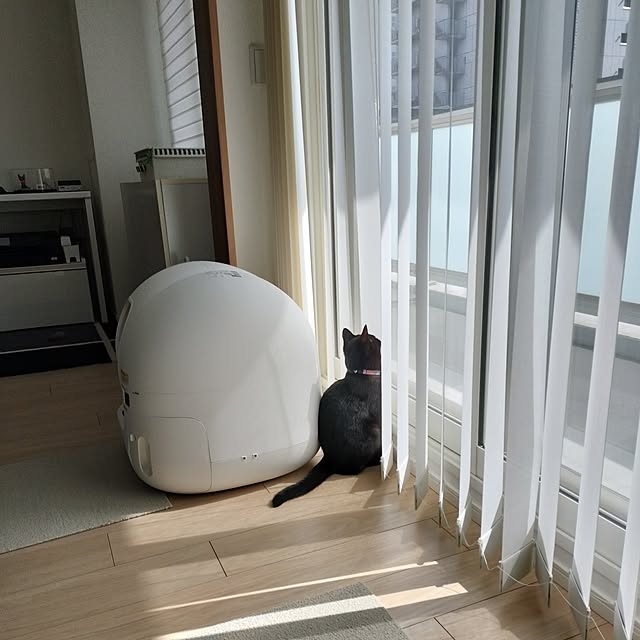 sakuraさんの実例写真