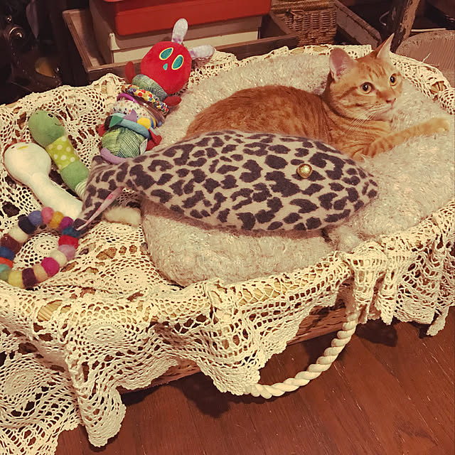 miさんの実例写真