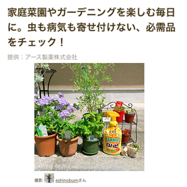 eshinobumさんの実例写真