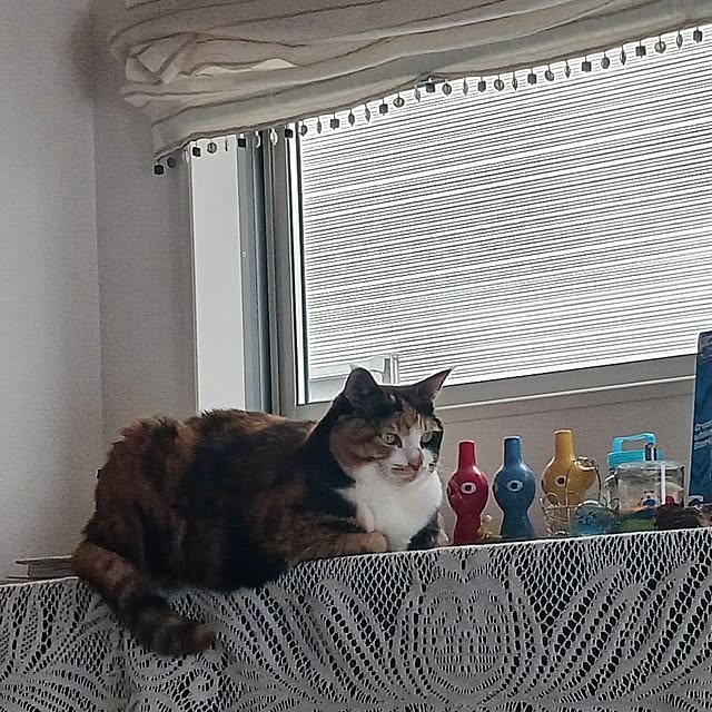 aiさんの部屋