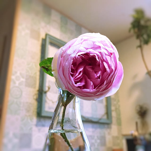 satochanさんの実例写真