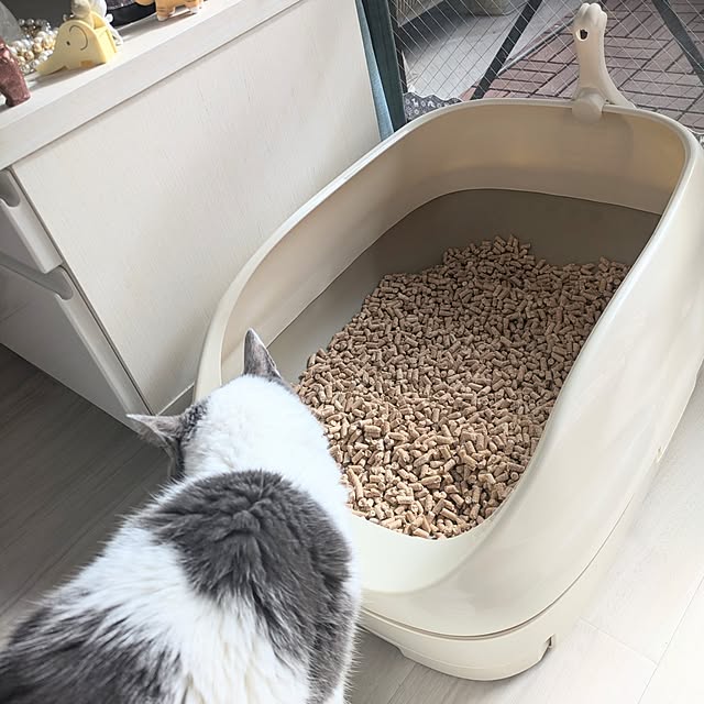 Manamiさんの実例写真