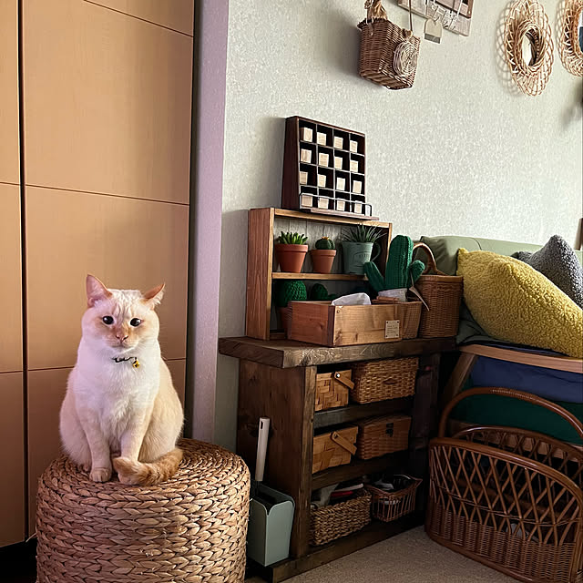 mohhaさんの実例写真