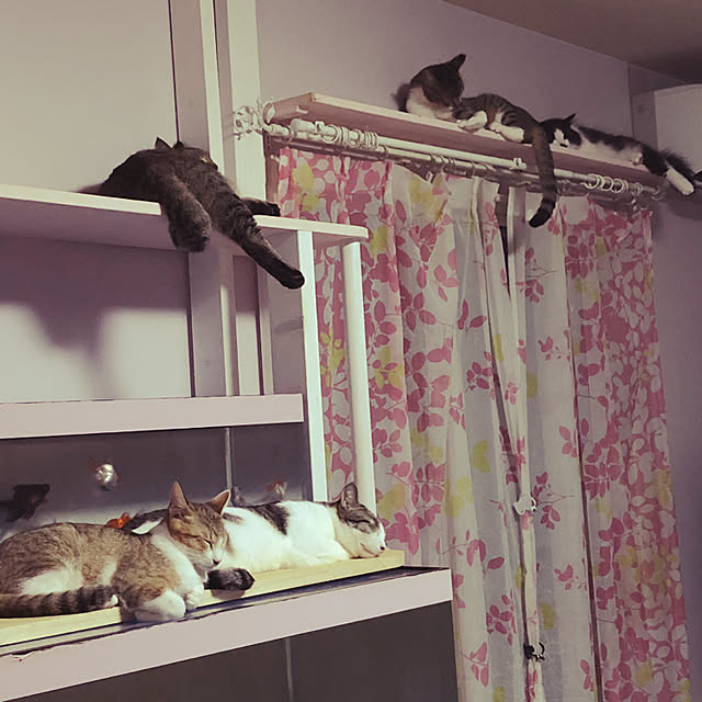 Mieさんの実例写真