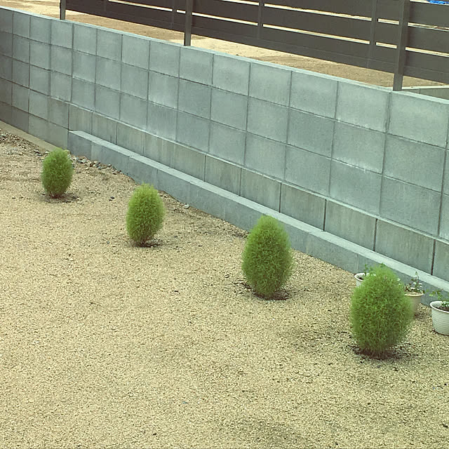 n.m.wsさんの実例写真