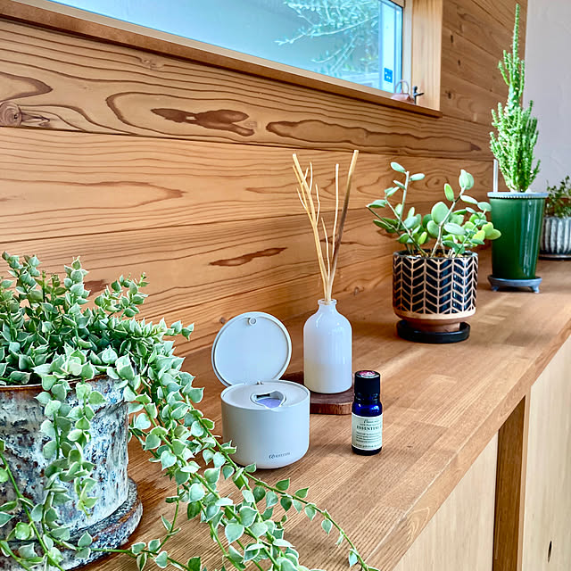 green.green.greenさんの実例写真