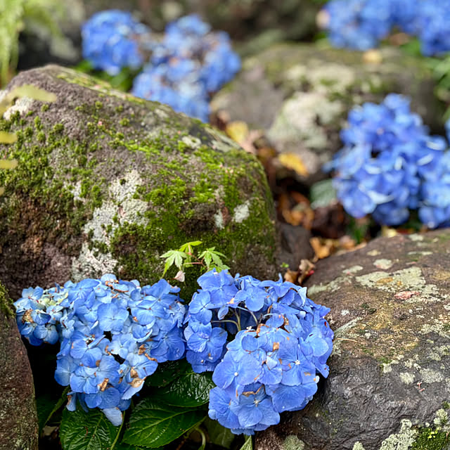 tututu0204さんの部屋