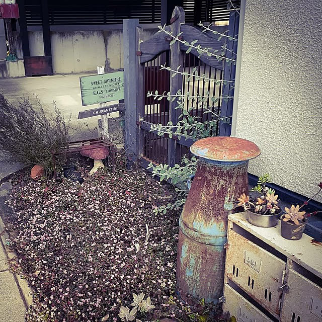 hinatoaさんの実例写真