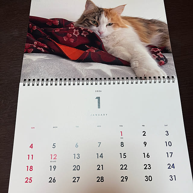 belleさんの部屋