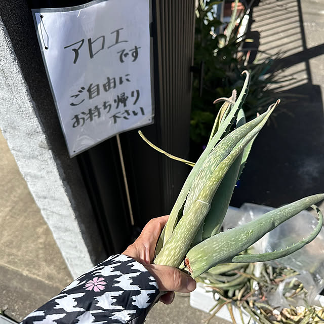 mizucchiさんの部屋