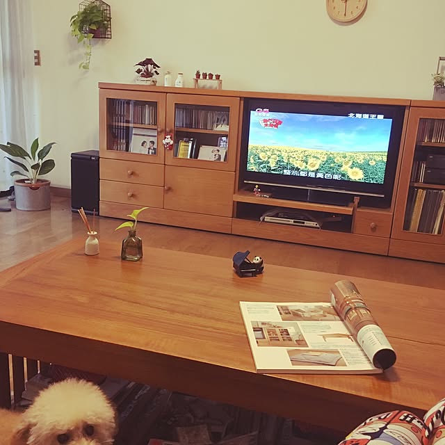 Simpsonさんの実例写真