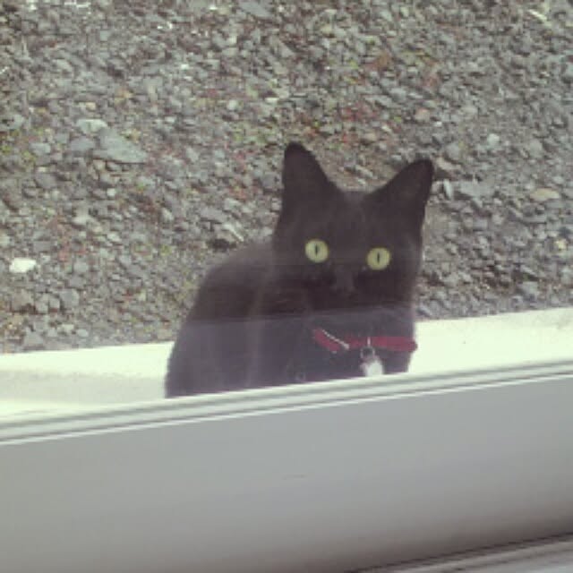 jam.さんの実例写真