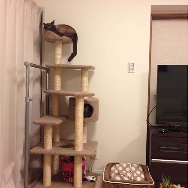 dodoさんの実例写真