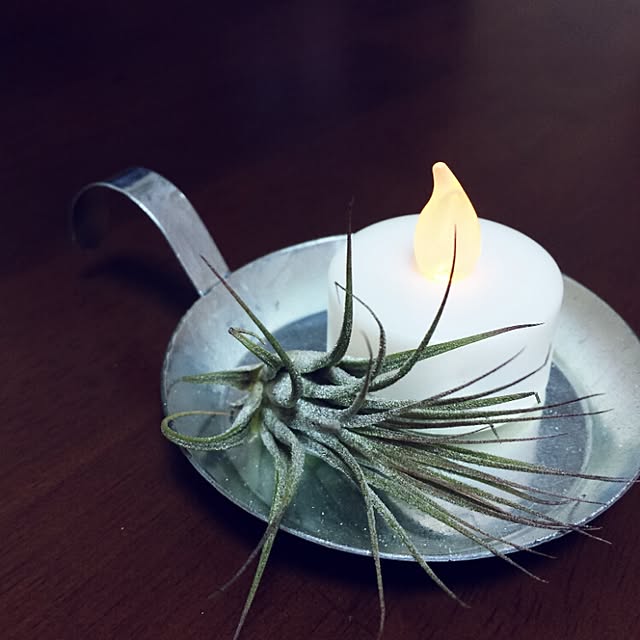 Chihomaru...さんの実例写真