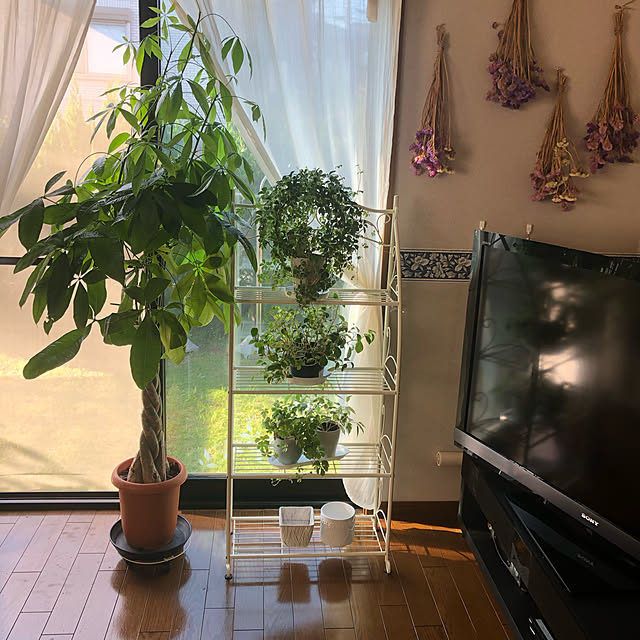 himetanさんの実例写真