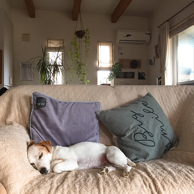nanaさんの実例写真