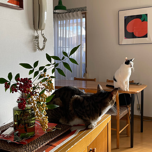 nobikoさんの部屋