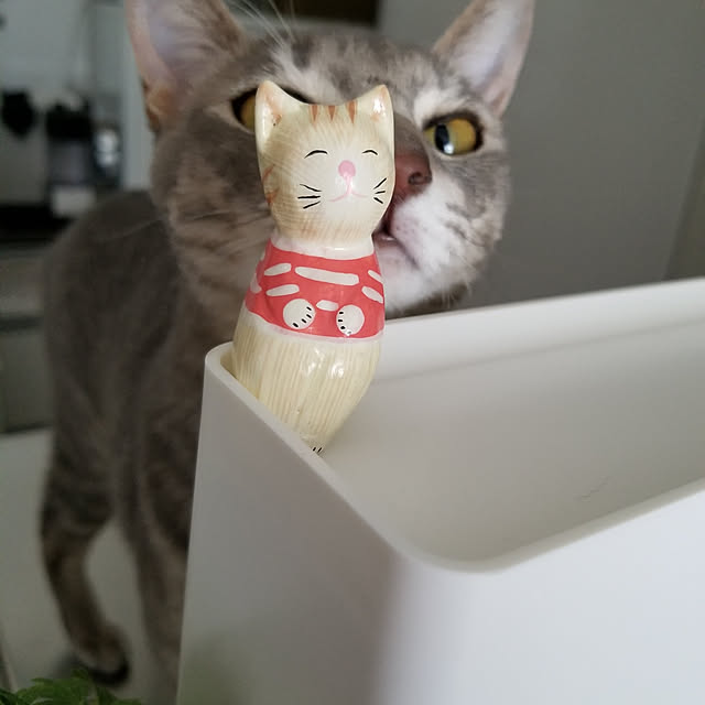 yukiさんの実例写真