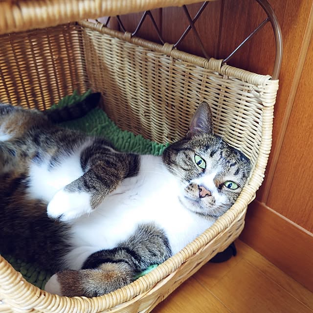 nachiさんの部屋