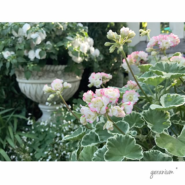 s.mamaさんの実例写真