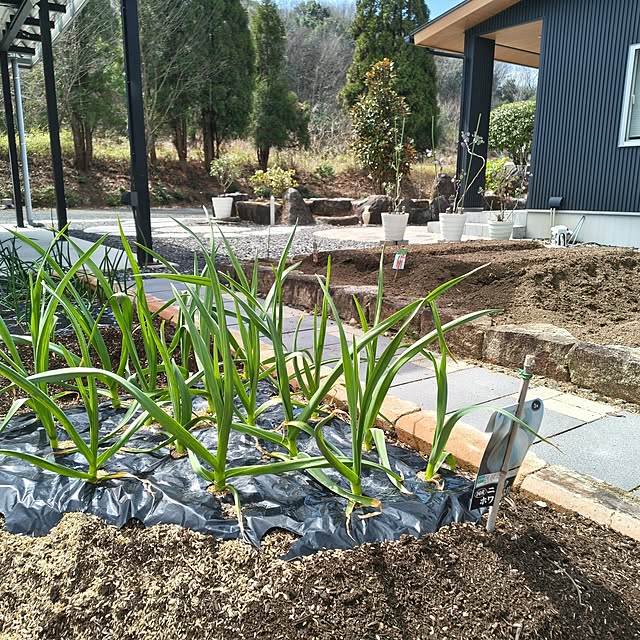 Rubiconさんの部屋