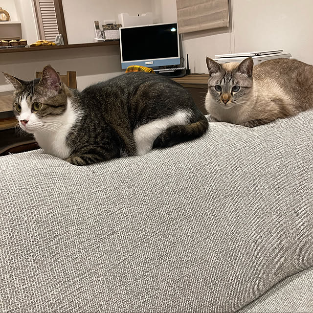 piyoさんの実例写真