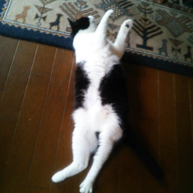 Tomopさんの実例写真