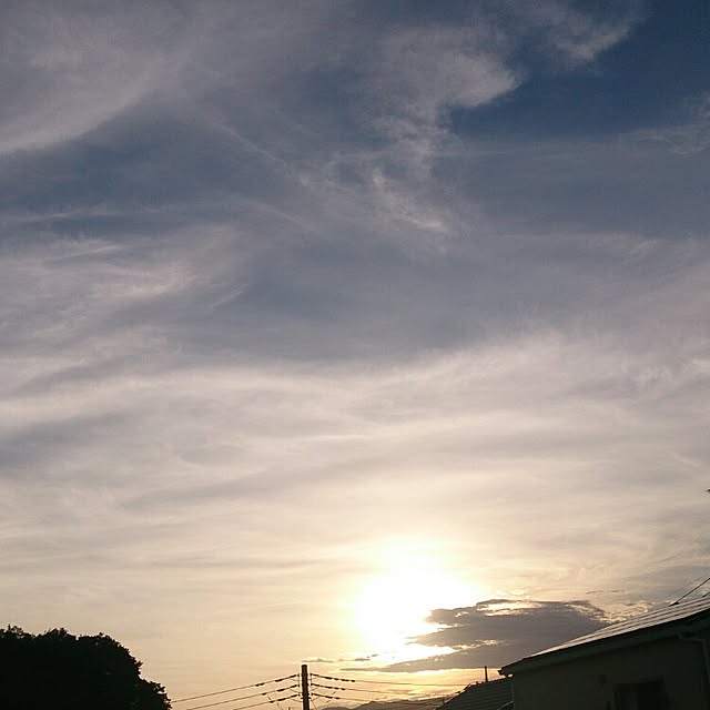 rikoさんの実例写真