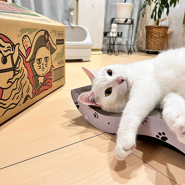Miyu_さんの部屋