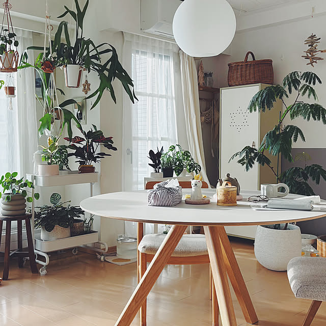 oliveさんの実例写真